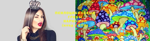мяу мяу кристалл Ладушкин