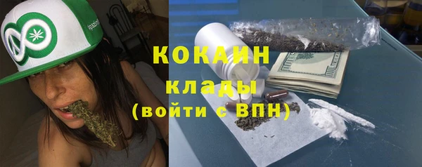 дмт Лабытнанги